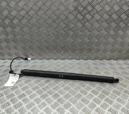 Tesla Model Y Juniper Tailgate/trunk strut/damper 193202699D