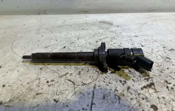 Ford C-MAX I Fuel injector 0445110188