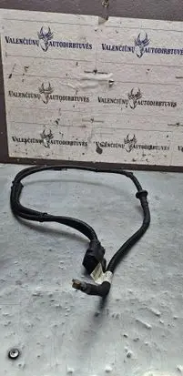 Other wiring loom