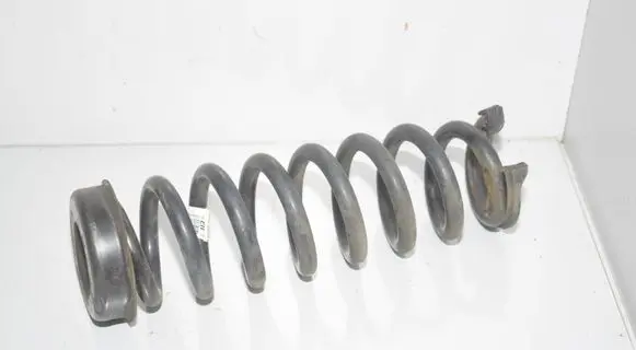 Rear coil spring