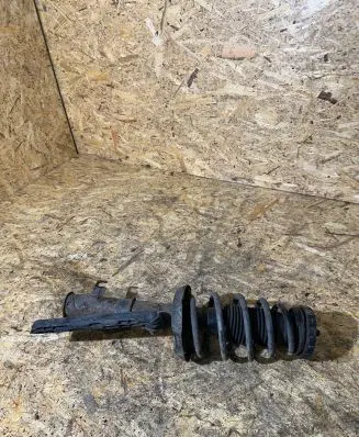 Opel Insignia A Front shock absorber with coil spring E4645601 SFMX8418