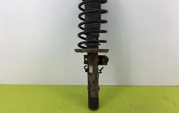 Skoda Fabia Mk1 (6Y) Front shock absorber with coil spring