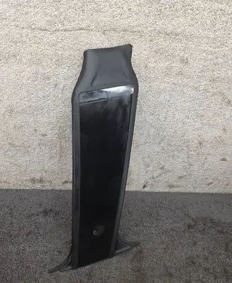 Tesla Model Y (B) Pillar trim (exterior) 162563800B 151626800E 109297800C
