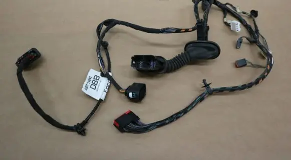 Rear door wiring loom