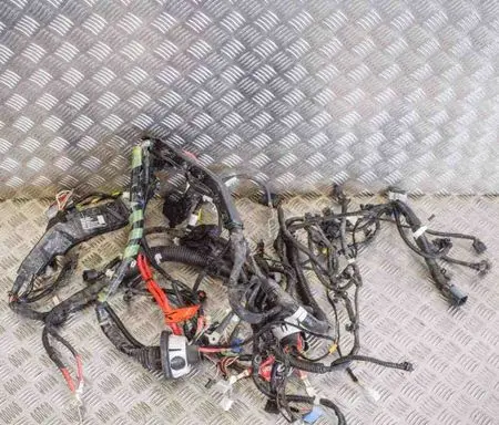 Tesla Model 3 Other wiring loom 106876800D