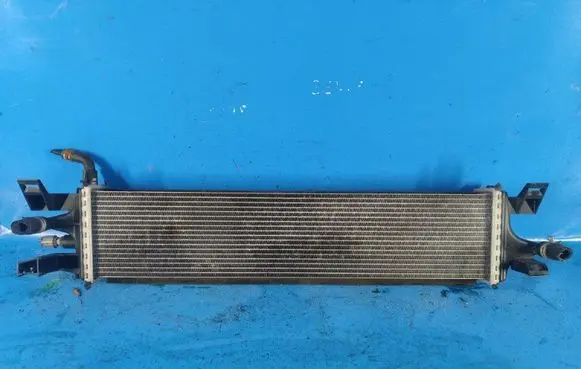 Ford Escape III Intercooler radiator F1FZ8005B