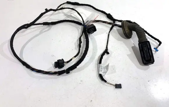 BMW X2 F39 Rear door wiring loom 8803373
