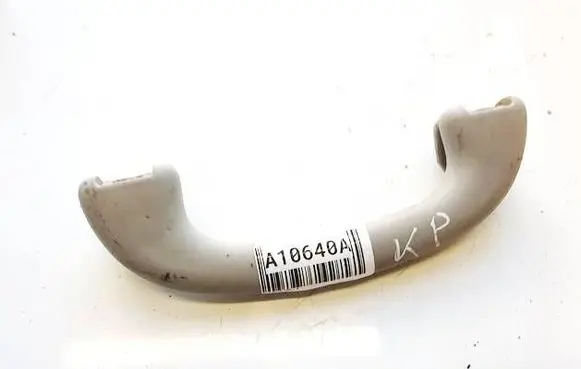 Ford Focus Front interior roof grab handle