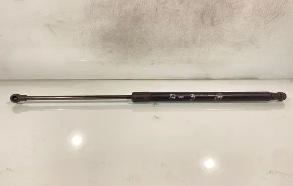 Tailgate/trunk strut/damper