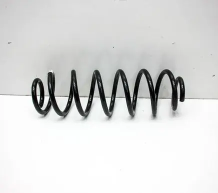 Rear coil spring