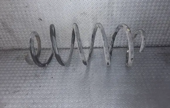 Skoda Roomster (5J) Front coil spring 