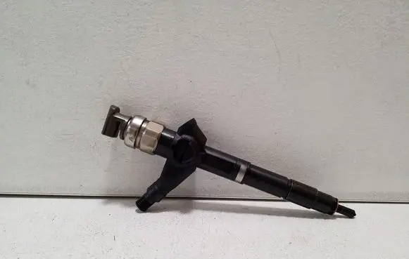 Nissan Pathfinder R51 Fuel injector 16600EB300