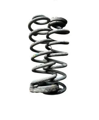 Rear coil spring