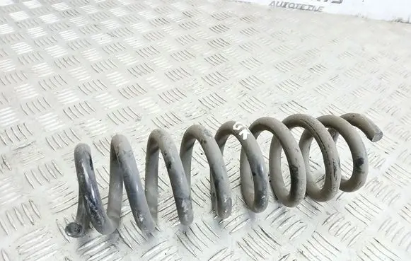 Rear coil spring