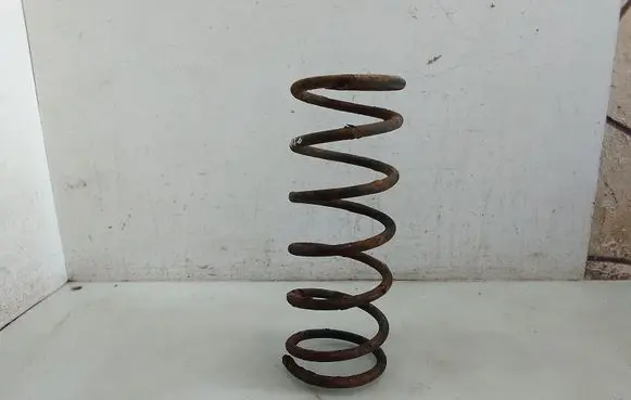 Rear coil spring