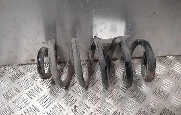 Audi A6 S6 C6 4F Rear coil spring