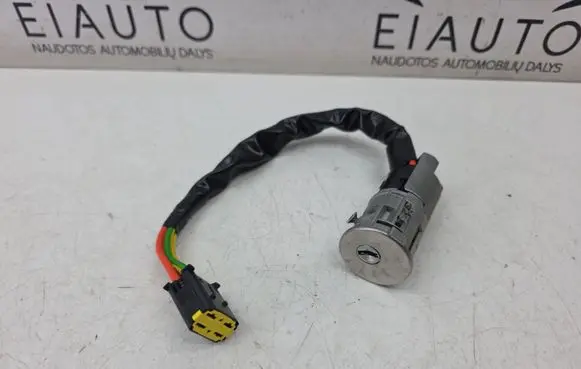 Dacia Duster Ignition lock 6001546809 N01109B