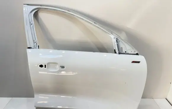 Ford Kuga III Front door 
