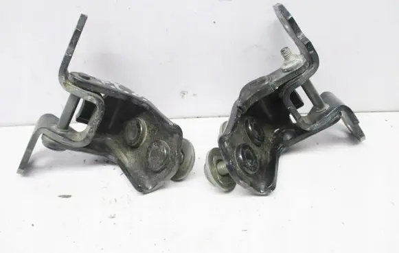 Renault Vel Satis Rear door hinge set 