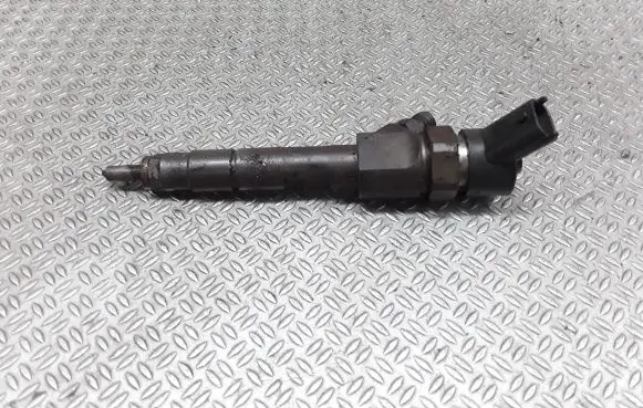 Renault Megane II Fuel injector 0445110110B