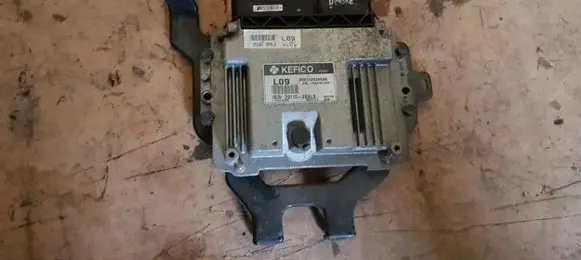 KIA Sportage Other control units/modules 391102BAL9