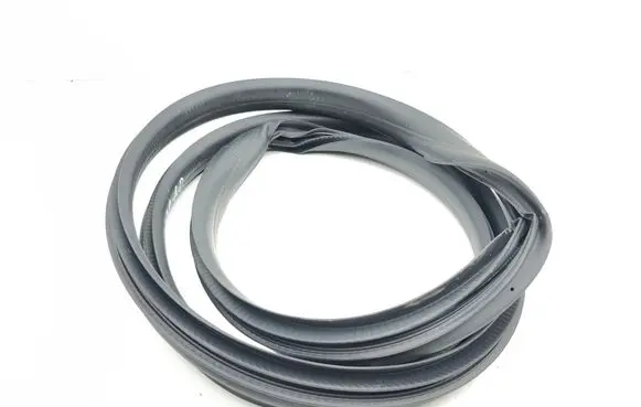Renault Arkana Rubber seal rear door