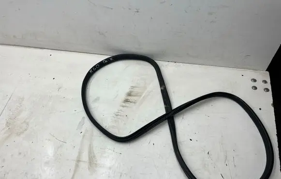 Mini Cooper Countryman R60 Rear door rubber seal (on body) 9808549