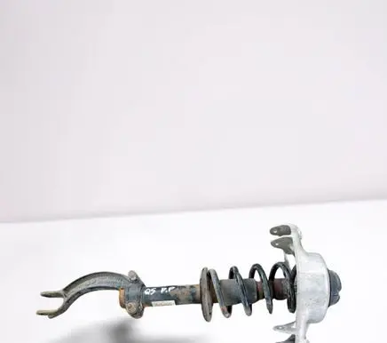 Audi Q5 SQ5 Front shock absorber with coil spring 8R0031M