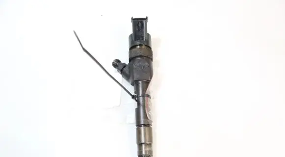 Renault Megane II Fuel injector 0445110110B