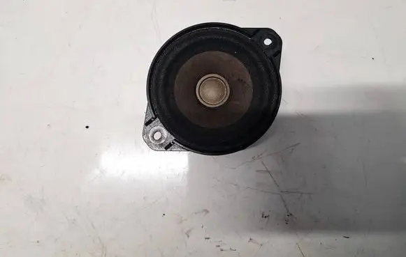 Tesla Model S Front door speaker 100483301A