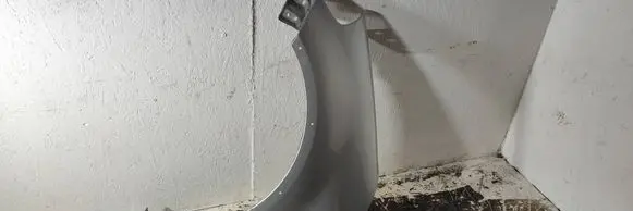 Fender