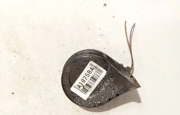 Horn signal