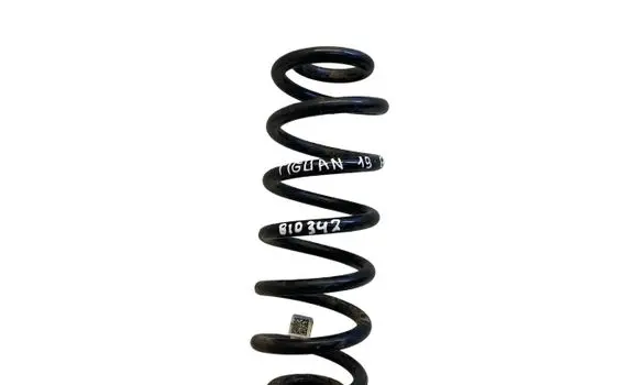 Volkswagen Tiguan Allspace Rear coil spring 5QN511115