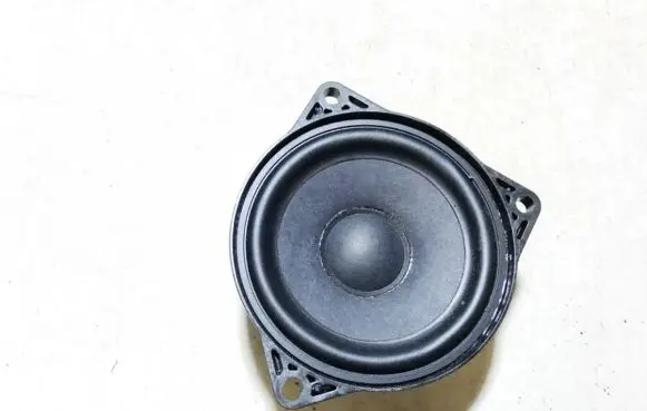 Front door speaker