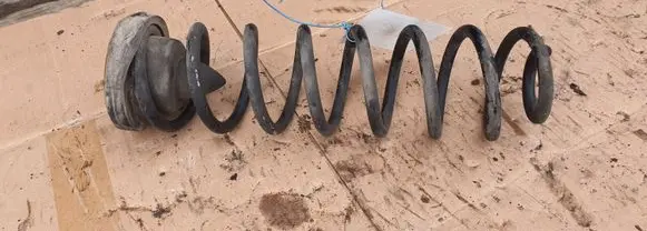 Renault Megane II Rear coil spring