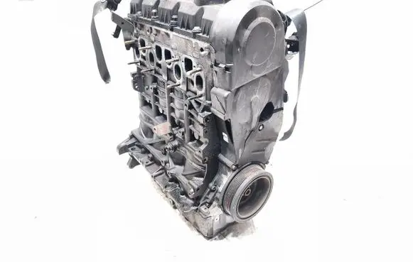 Volkswagen Golf V Engine BXE