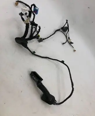 Volkswagen Golf VIII Front door wiring loom 5h4971162gb