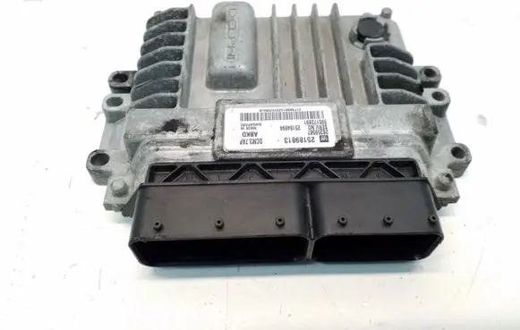 Opel Antara Engine control unit/module 25189813 28359587 595172891