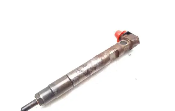 Mercedes-Benz Sprinter W906 Fuel injector 28342997 A6510704987