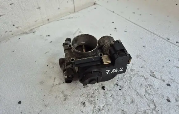 Throttle body valve