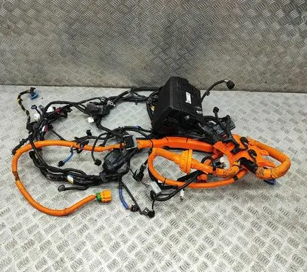 KIA EV6 Other wiring loom 91201CV010