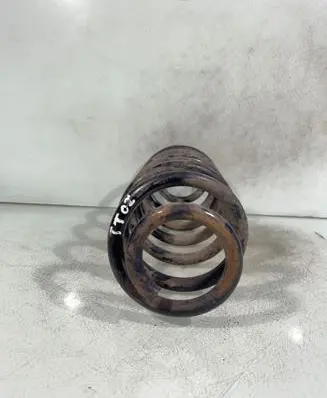 Rear coil spring