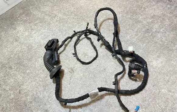 Rear door wiring loom