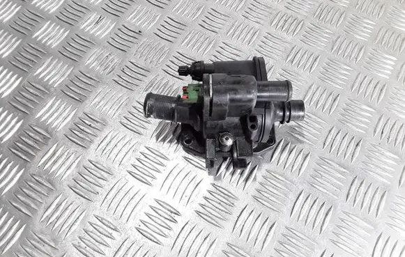 Thermostat/thermostat housing