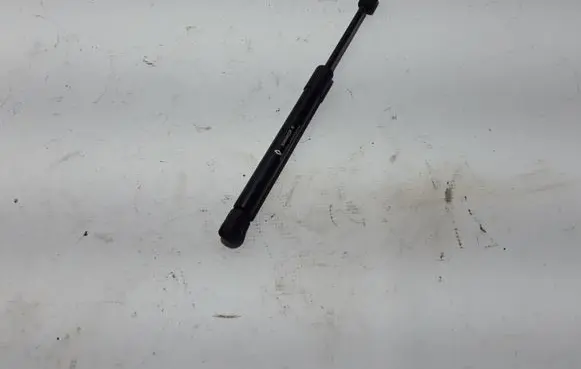 Tailgate strut