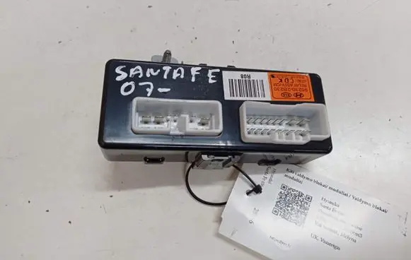 Hyundai Santa Fe Other control units/modules 952302B230