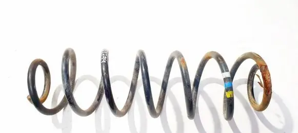 Rear coil spring
