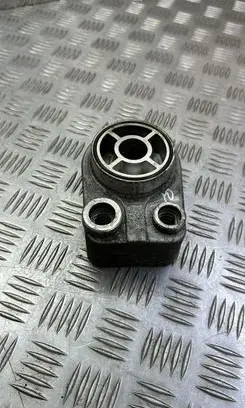 Nissan Juke I F15 Oil filter mounting bracket 8200779744E