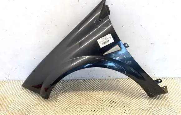 Renault Megane II Fender