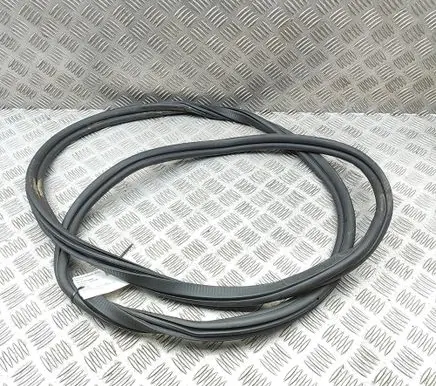 BMW X6M G06 F96 Rubber seal rear door 7437788